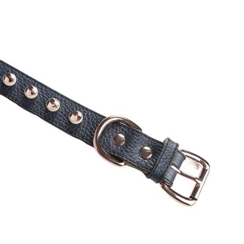 Studded Collar in navy leather