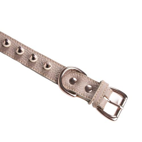 Studded Collar in taupe leather